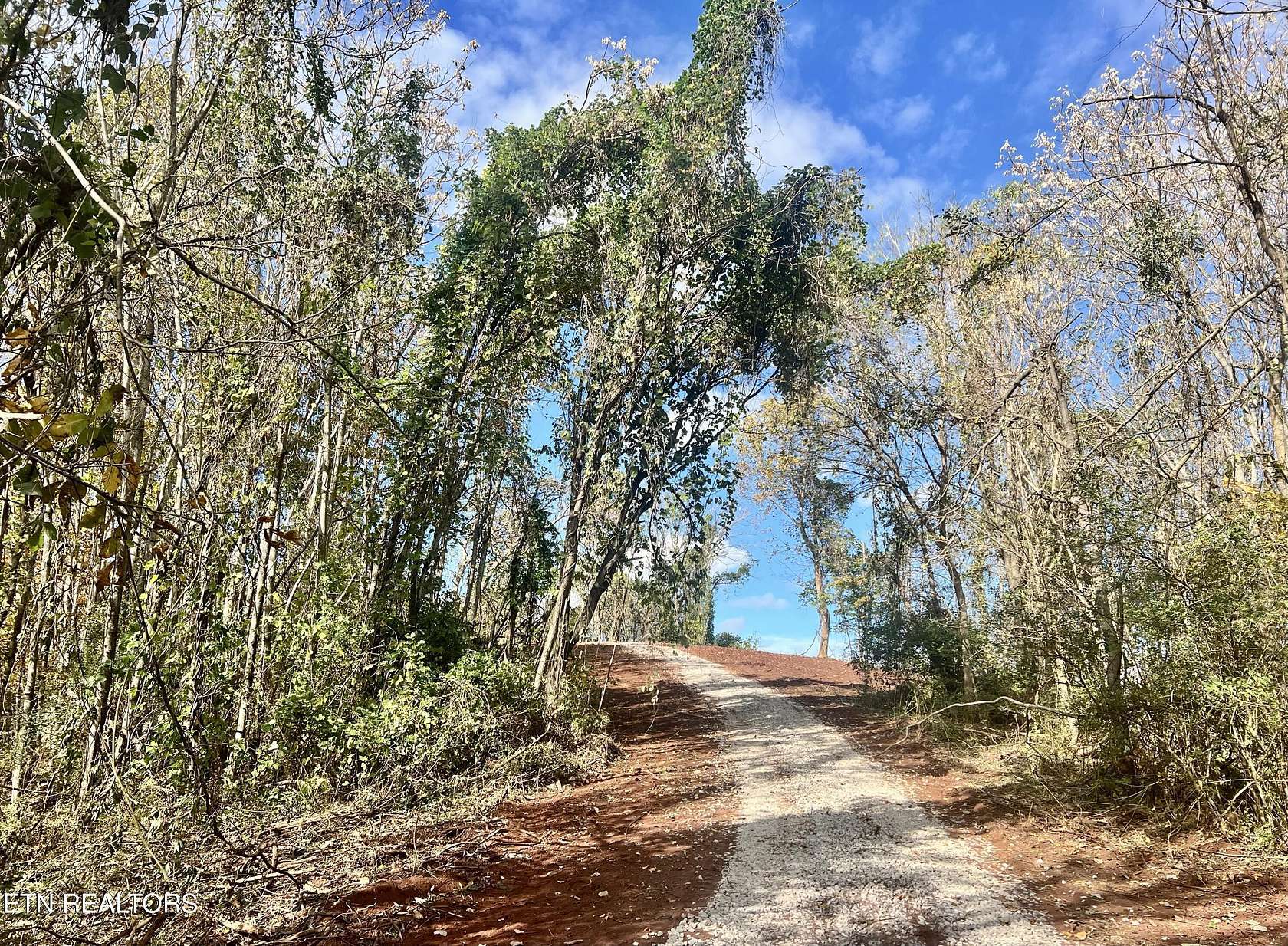 20 Acres of Agricultural Land for Sale in Lenoir City, Tennessee