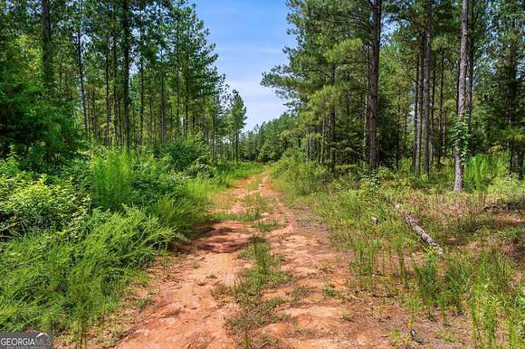 125 Acres of Recreational Land for Sale in Dewy Rose, Georgia