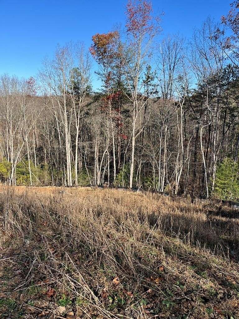 Residential Land for Sale in Murphy, North Carolina