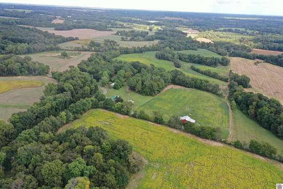 118 Acres of Recreational Land & Farm for Auction in Fulton, Kentucky