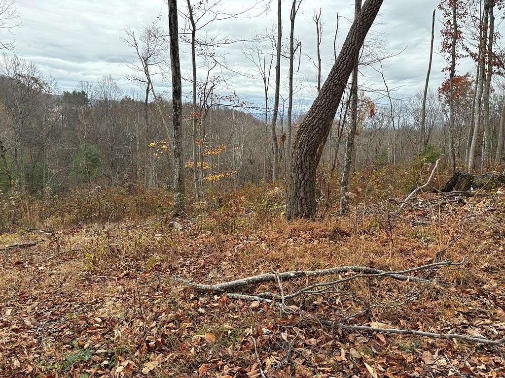 4 Acres of Residential Land for Sale in Pounding Mill, Virginia