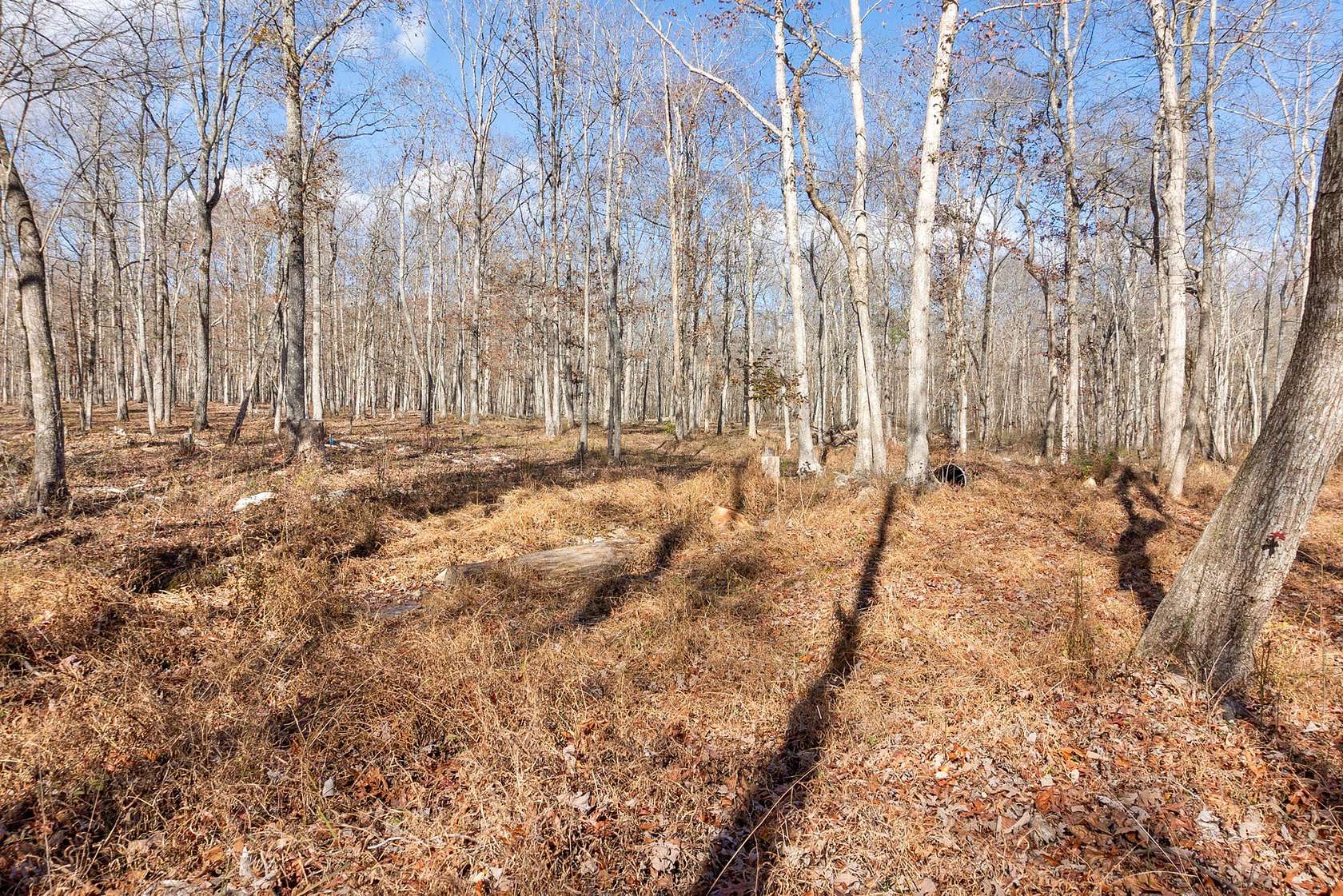 13.12 Acres of Land for Sale in Sequatchie, Tennessee