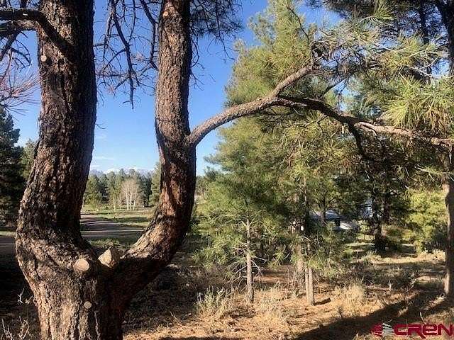 0.55 Acres of Residential Land for Sale in Pagosa Springs, Colorado