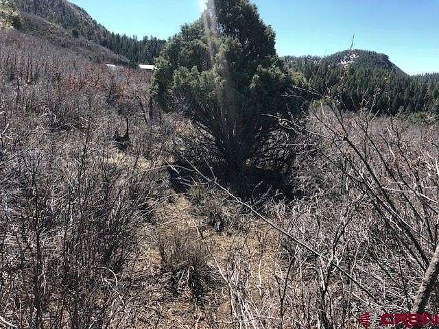 4.1 Acres of Residential Land for Sale in Pagosa Springs, Colorado