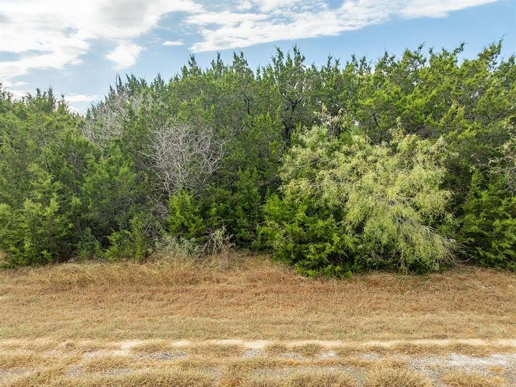 0.33 Acres of Residential Land for Sale in Whitney, Texas