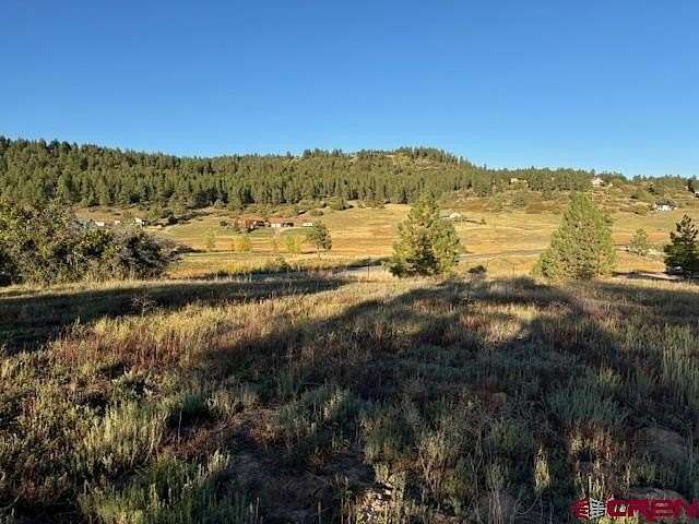 3.03 Acres of Residential Land for Sale in Pagosa Springs, Colorado