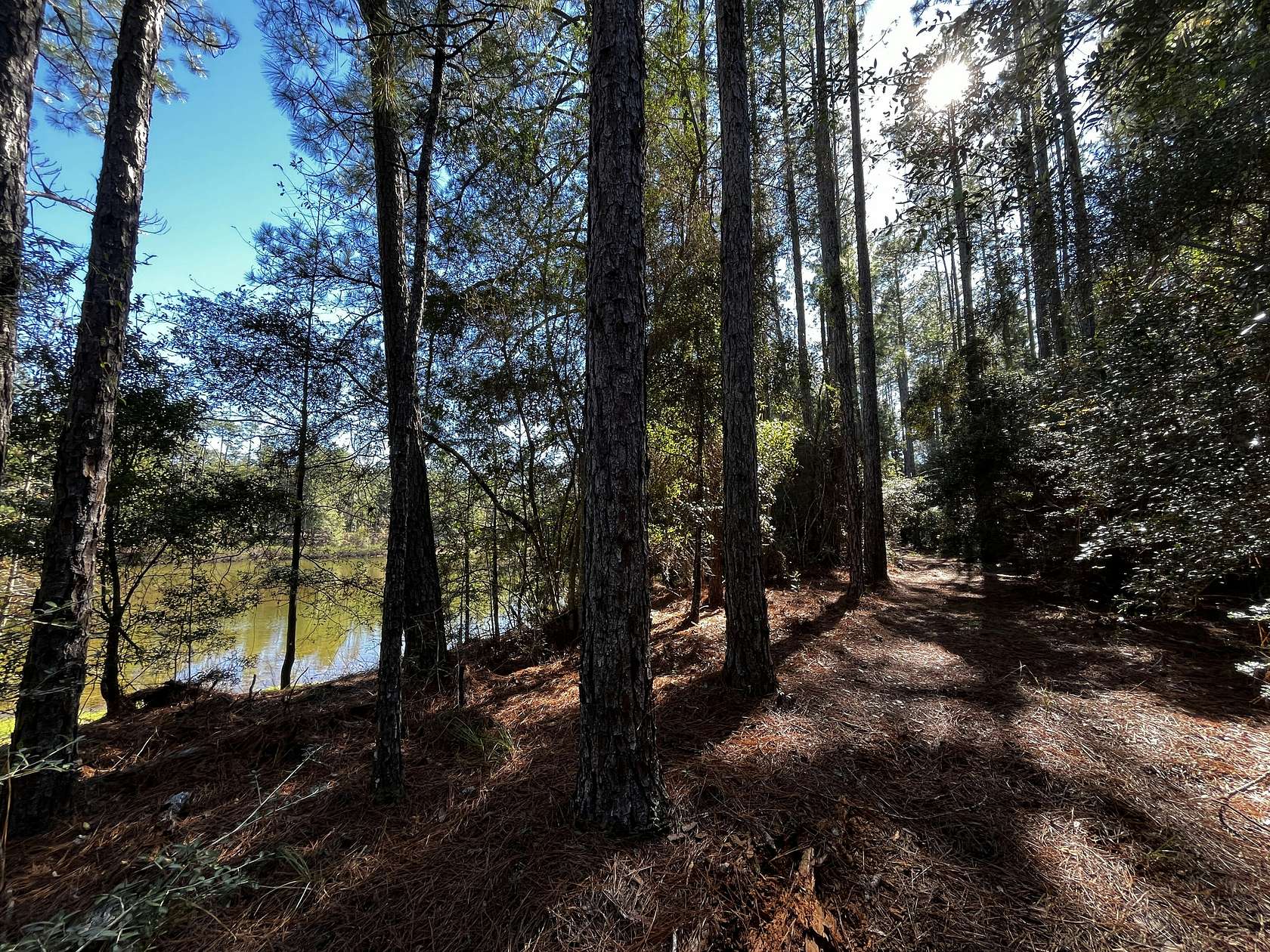 230.3 Acres of Recreational Land for Sale in Bonifay, Florida