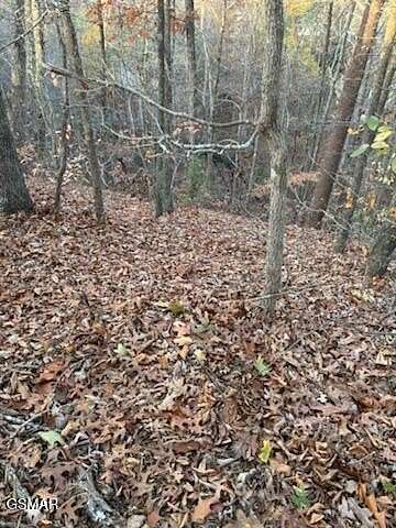 0.32 Acres of Residential Land for Sale in Pigeon Forge, Tennessee