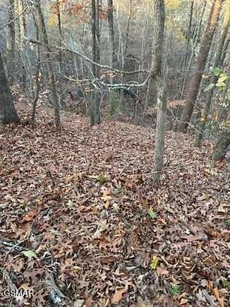 0.32 Acres of Residential Land for Sale in Pigeon Forge, Tennessee