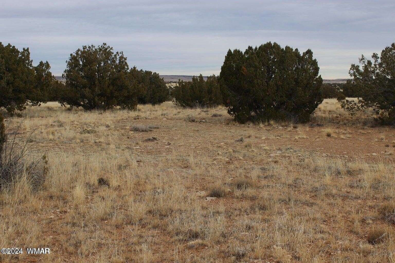 15 Acres of Land for Sale in Heber, Arizona