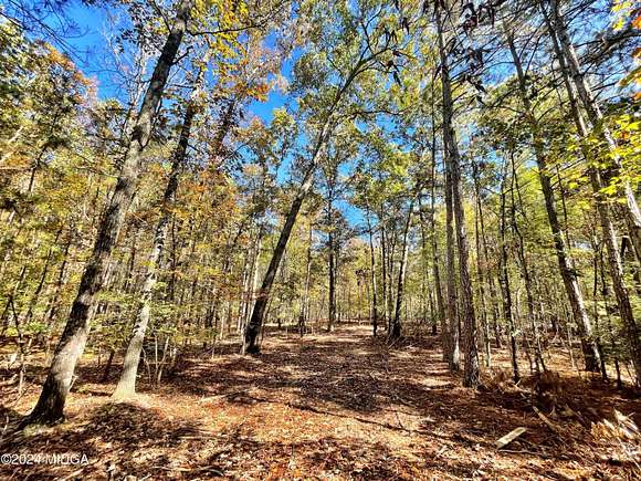 36.85 Acres of Recreational Land for Sale in Forsyth, Georgia