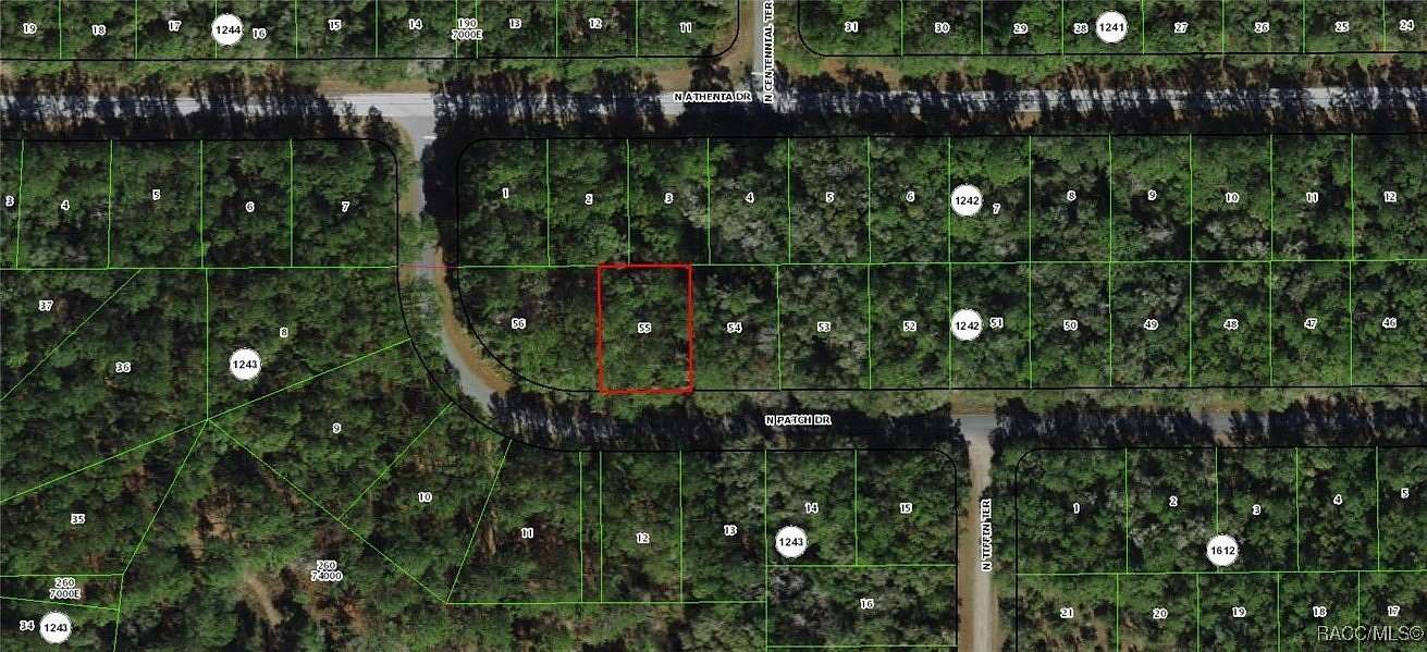 0.26 Acres of Land for Sale in Dunnellon, Florida