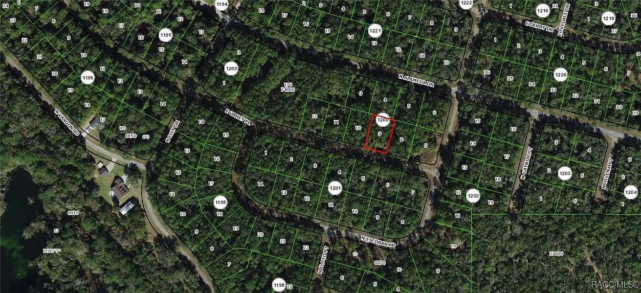 0.35 Acres of Land for Sale in Citrus Springs, Florida