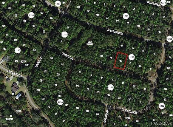 0.35 Acres of Land for Sale in Citrus Springs, Florida