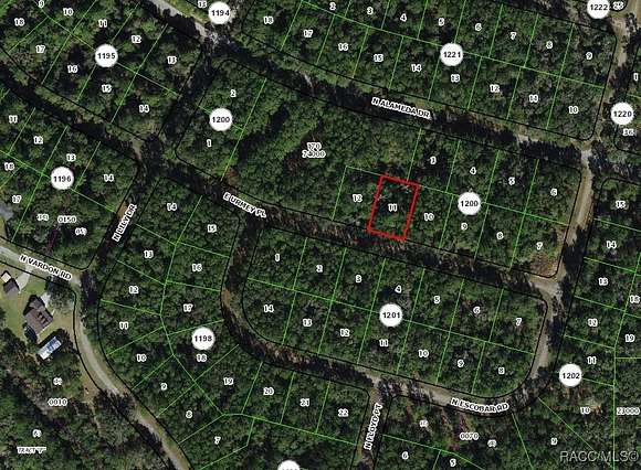 0.35 Acres of Land for Sale in Citrus Springs, Florida