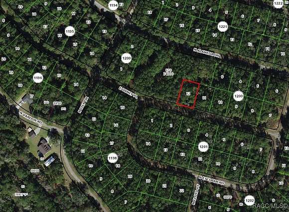 0.35 Acres of Land for Sale in Citrus Springs, Florida