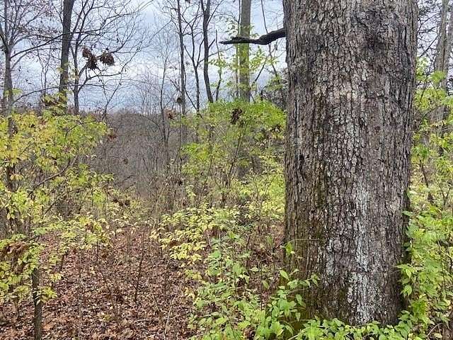 62 Acres of Recreational Land for Sale in Brooksville, Kentucky