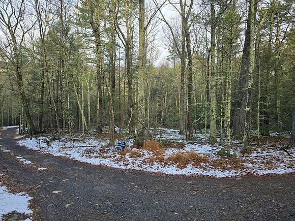 2 Acres of Residential Land for Auction in Mamakating Town, New York