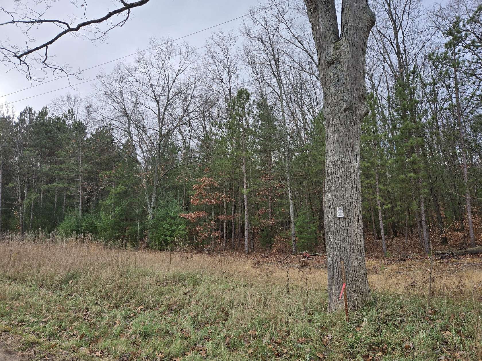 58 Acres of Recreational Land for Sale in White Cloud, Michigan