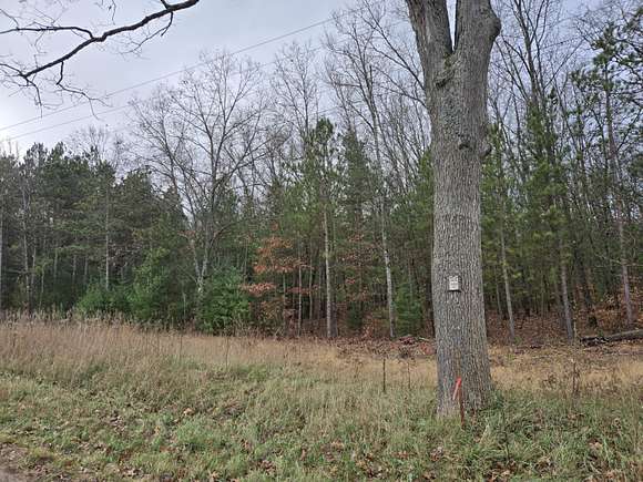 58 Acres of Recreational Land for Sale in White Cloud, Michigan