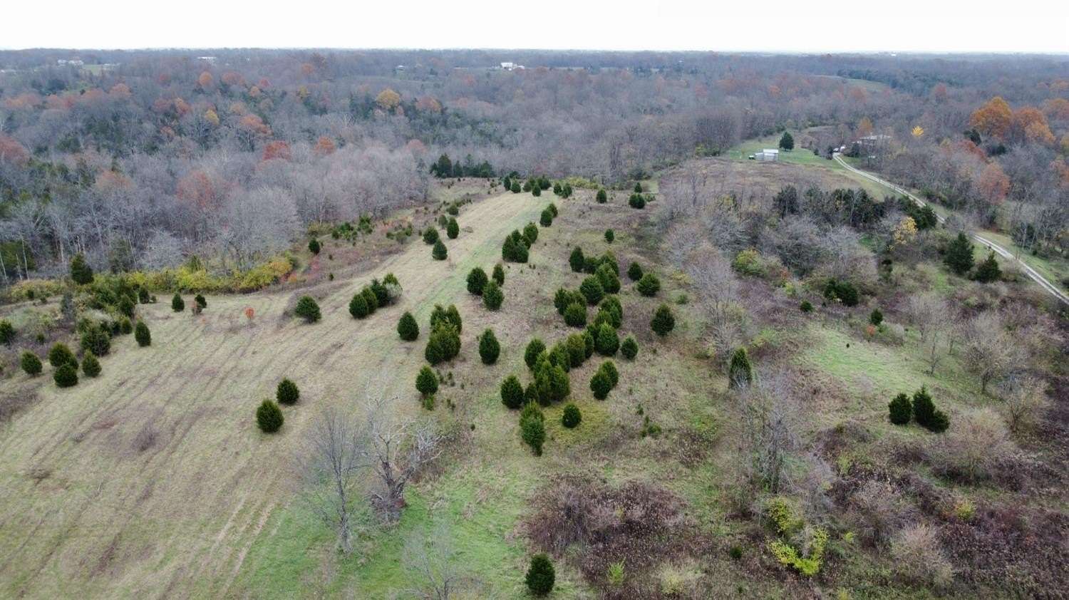 10 Acres of Residential Land for Sale in Florence, Indiana