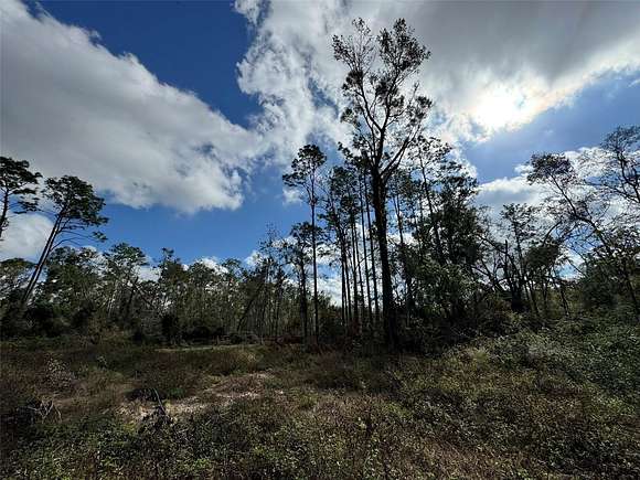 1.14 Acres of Land for Sale in O'Brien, Florida