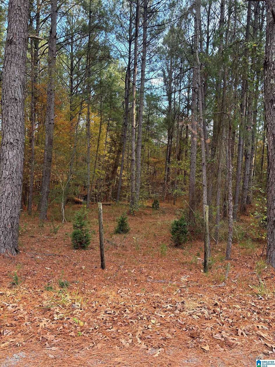 10 Acres of Land for Sale in Bessemer, Alabama