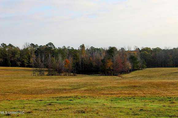 134 Acres of Agricultural Land for Sale in Bruce, Mississippi