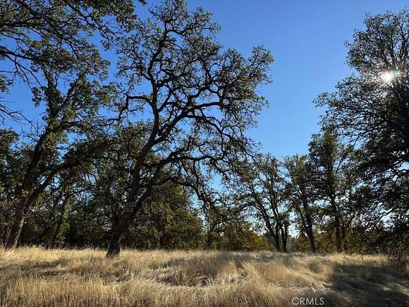 1.01 Acres of Land for Sale in Corning, California