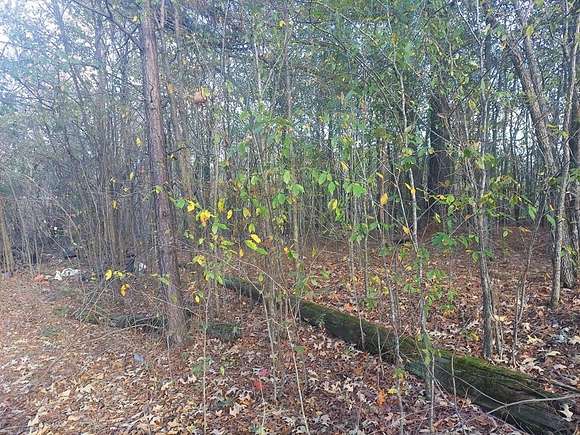 4 Acres of Residential Land for Sale in Paris, Tennessee