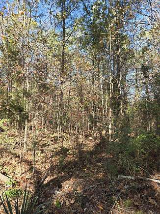 72.11 Acres of Land for Sale in Amory, Mississippi