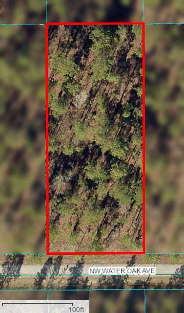 1 Acre of Residential Land for Sale in Dunnellon, Florida