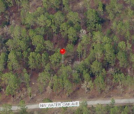 00 NW Water Oak Ave - 1.00 ACRE