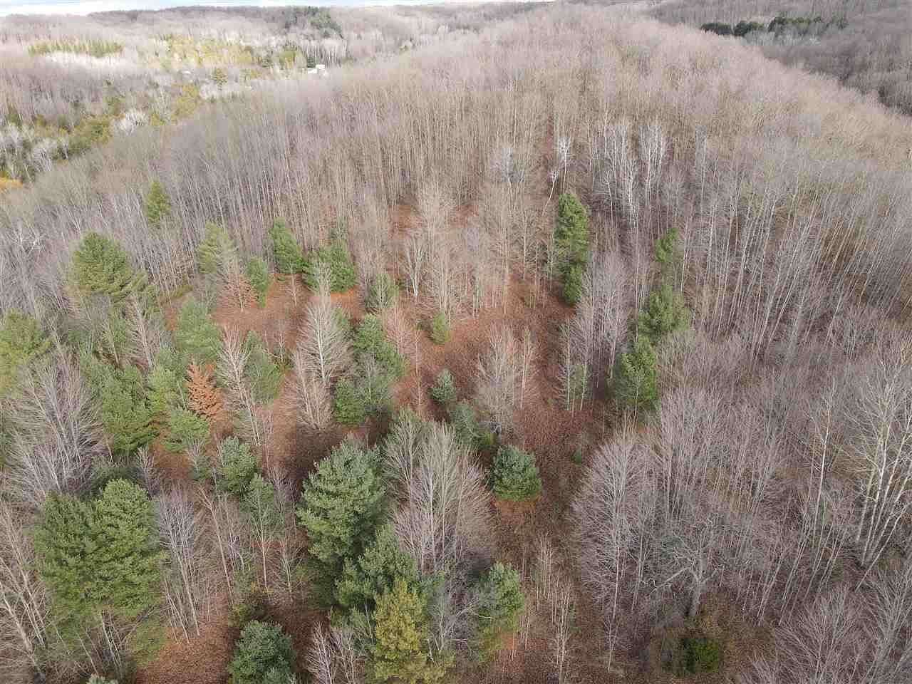 20 Acres of Land for Sale in East Jordan, Michigan