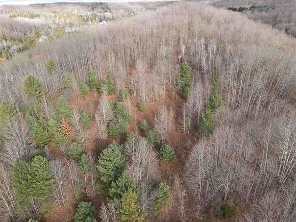 20 Acres of Land for Sale in East Jordan, Michigan