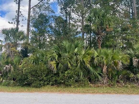 0.23 Acres of Residential Land for Sale in Palm Coast, Florida