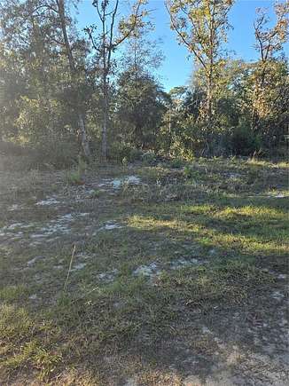 1.16 Acres of Residential Land for Sale in Keystone Heights, Florida