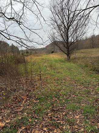 15 Acres of Land for Sale in Crawford, Tennessee