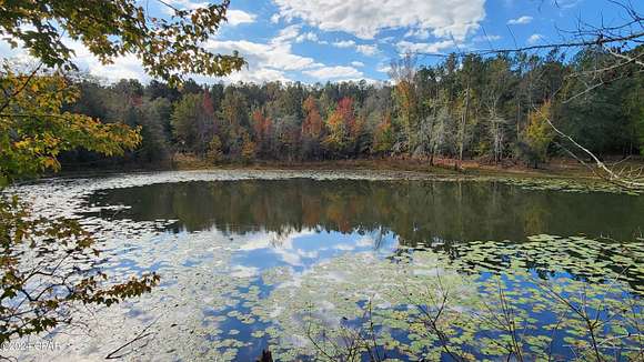 10 Acres of Recreational Land for Sale in Sneads, Florida