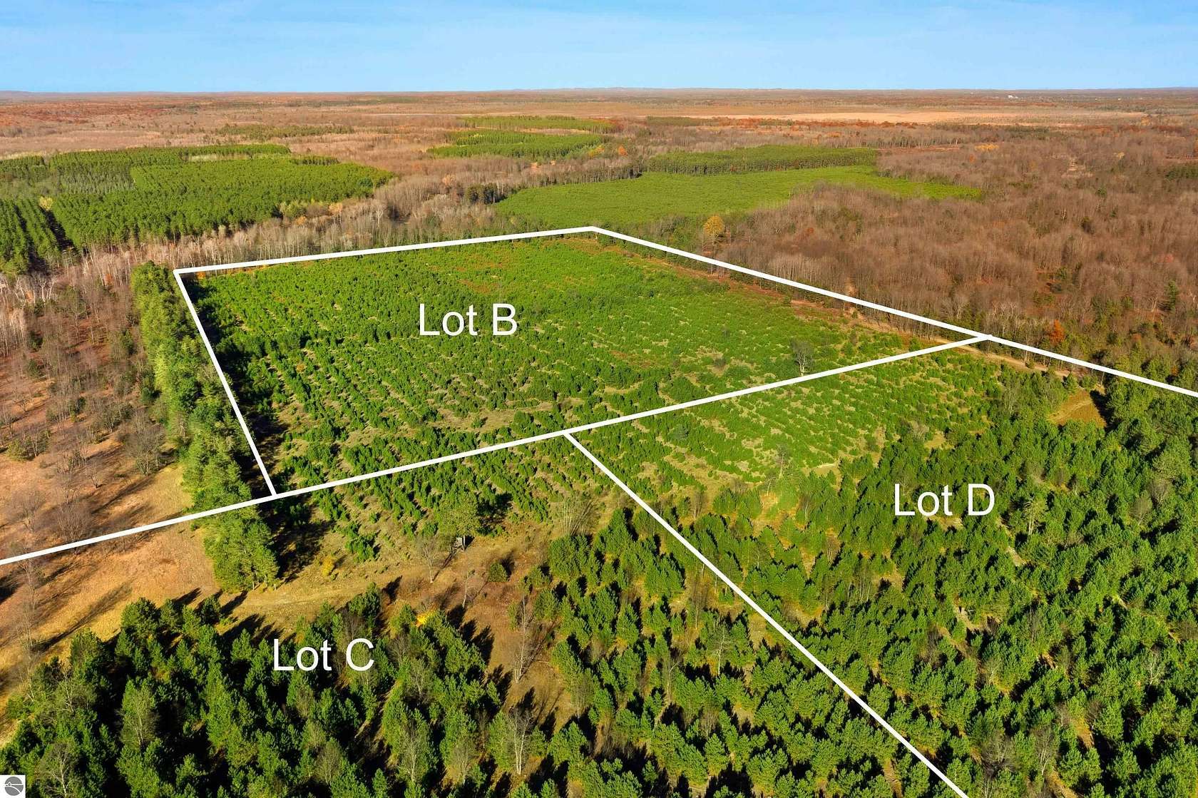 70 Acres of Land for Sale in Thompsonville, Michigan