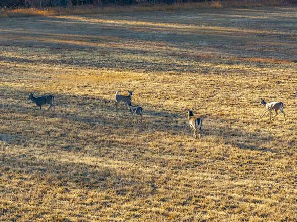 75 Acres of Recreational Land & Farm for Sale in Riverton, Wyoming