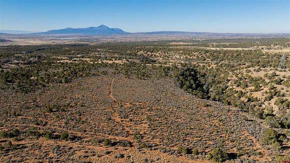 40 Acres of Land for Sale in Mancos, Colorado