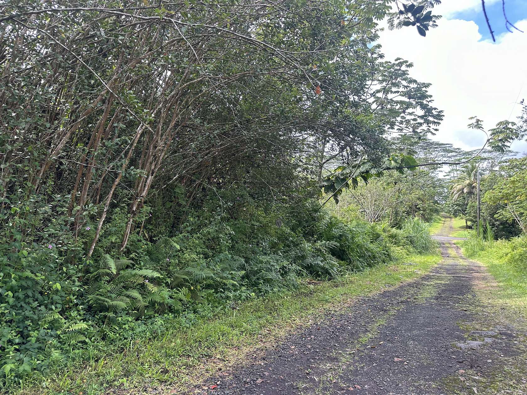 0.185 Acres of Land for Sale in Pahoa, Hawaii