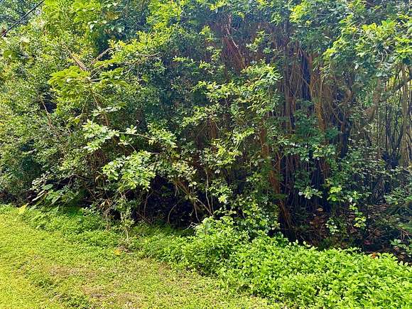 0.209 Acres of Residential Land for Sale in Pahoa, Hawaii