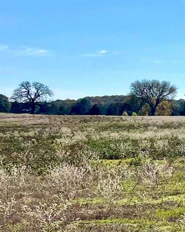 95.14 Acres of Agricultural Land for Sale in Valley View, Texas