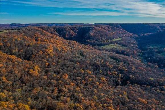 40 Acres of Recreational Land for Sale in Elkins, Arkansas