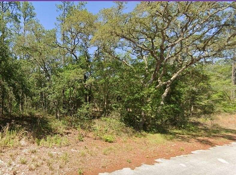 0.99 Acres of Residential Land for Sale in Dunnellon, Florida