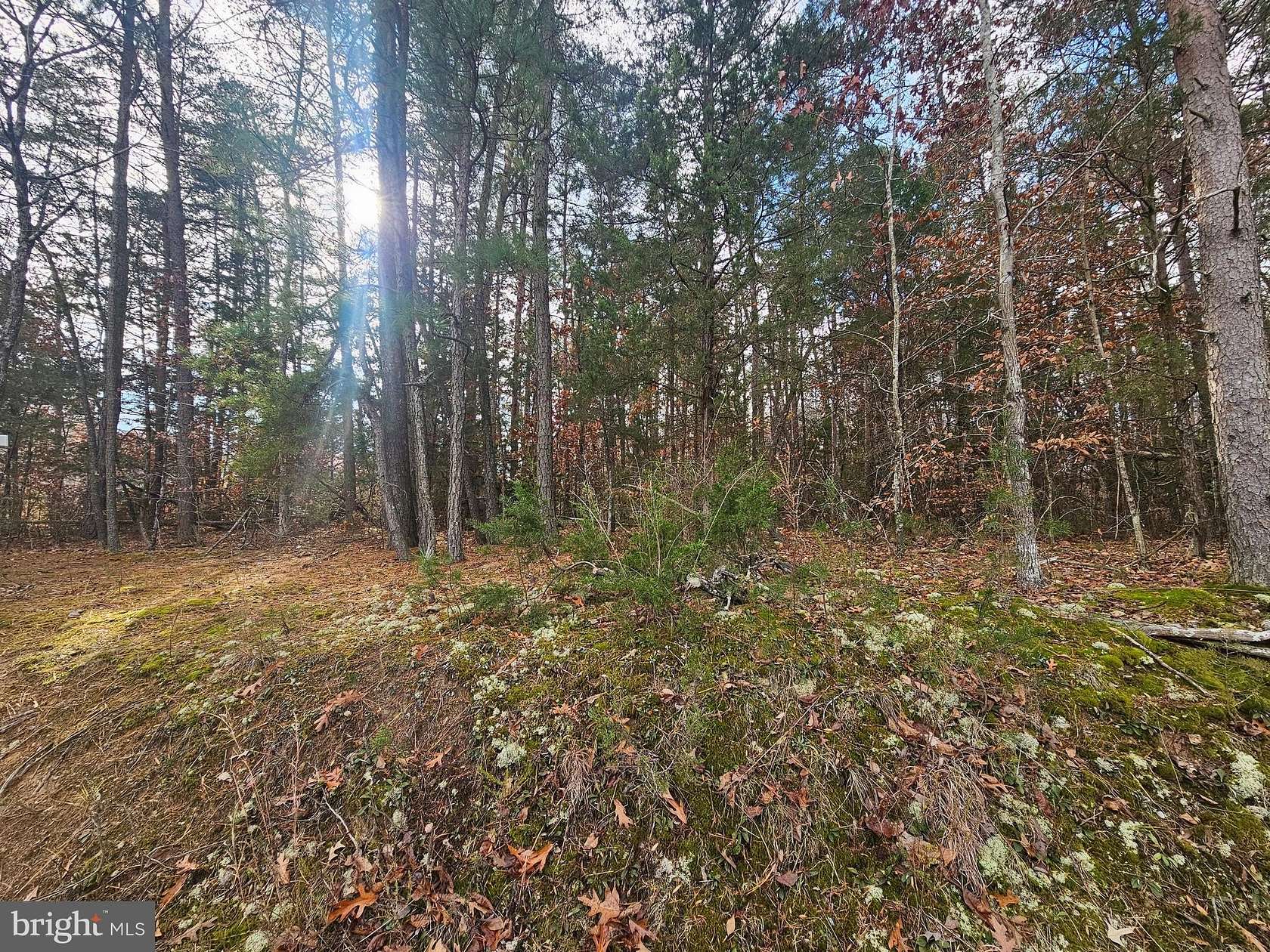 5.03 Acres of Residential Land for Sale in Ruther Glen, Virginia