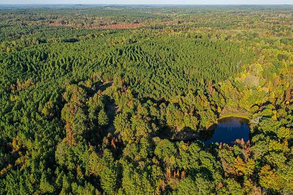 142 Acres of Recreational Land for Sale in Pittsboro, Mississippi