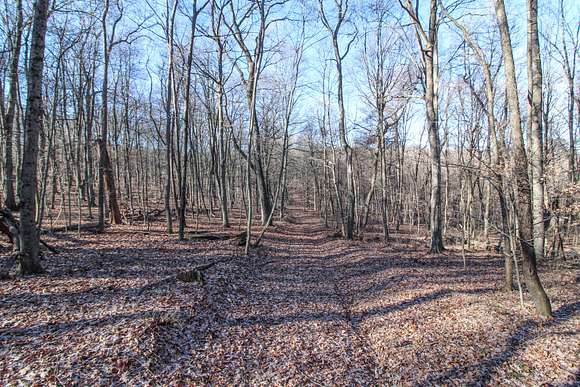 64.13 Acres of Recreational Land for Sale in Newark, Ohio